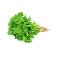 Coriander leaves (கொத்தமல்லி) 1bunch