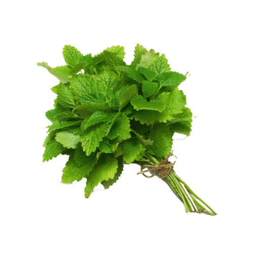 Mint leaves (புதினா) 1bunch