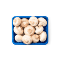 Mushroom (காளான்) 1Box