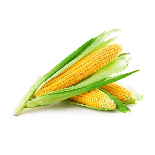 Sweet Corn (இனிப்பு சோளம்) 1pc