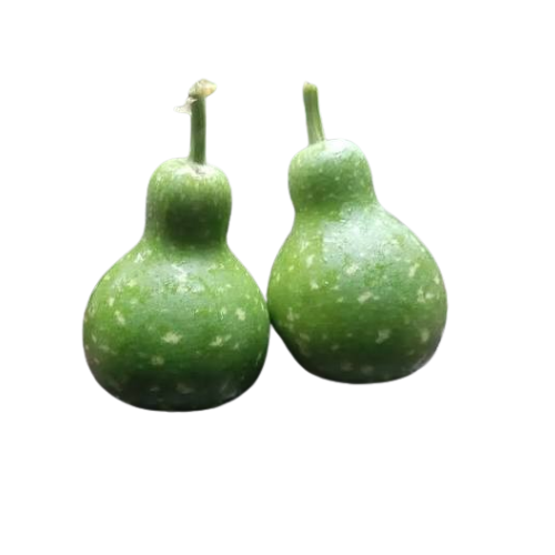 நாட்டு சுரைக்காய் (Native Bottle Gourd) 450g-500g
