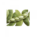 Mochai peeled (மொச்சை உரித்தது) 1 box 200g