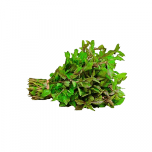 Ponnagani keerai (பொன்னாங்கண்ணி கீரை) 1 கட்டு