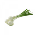 Spring Onion (வெங்காயத்தாள்) 1bunch